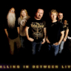 Desktop FiB Live band